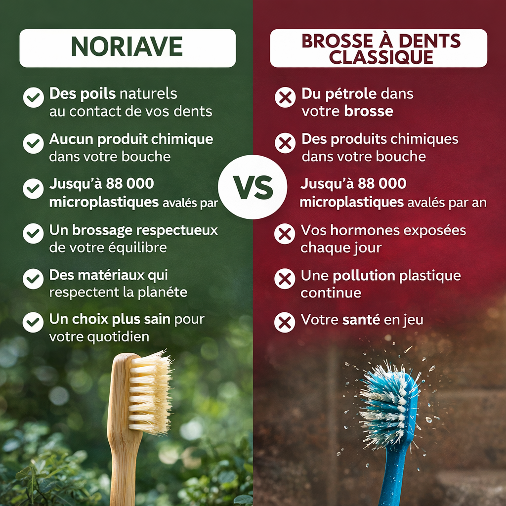 Brosse à Dents Bambou & Fibres Naturelles