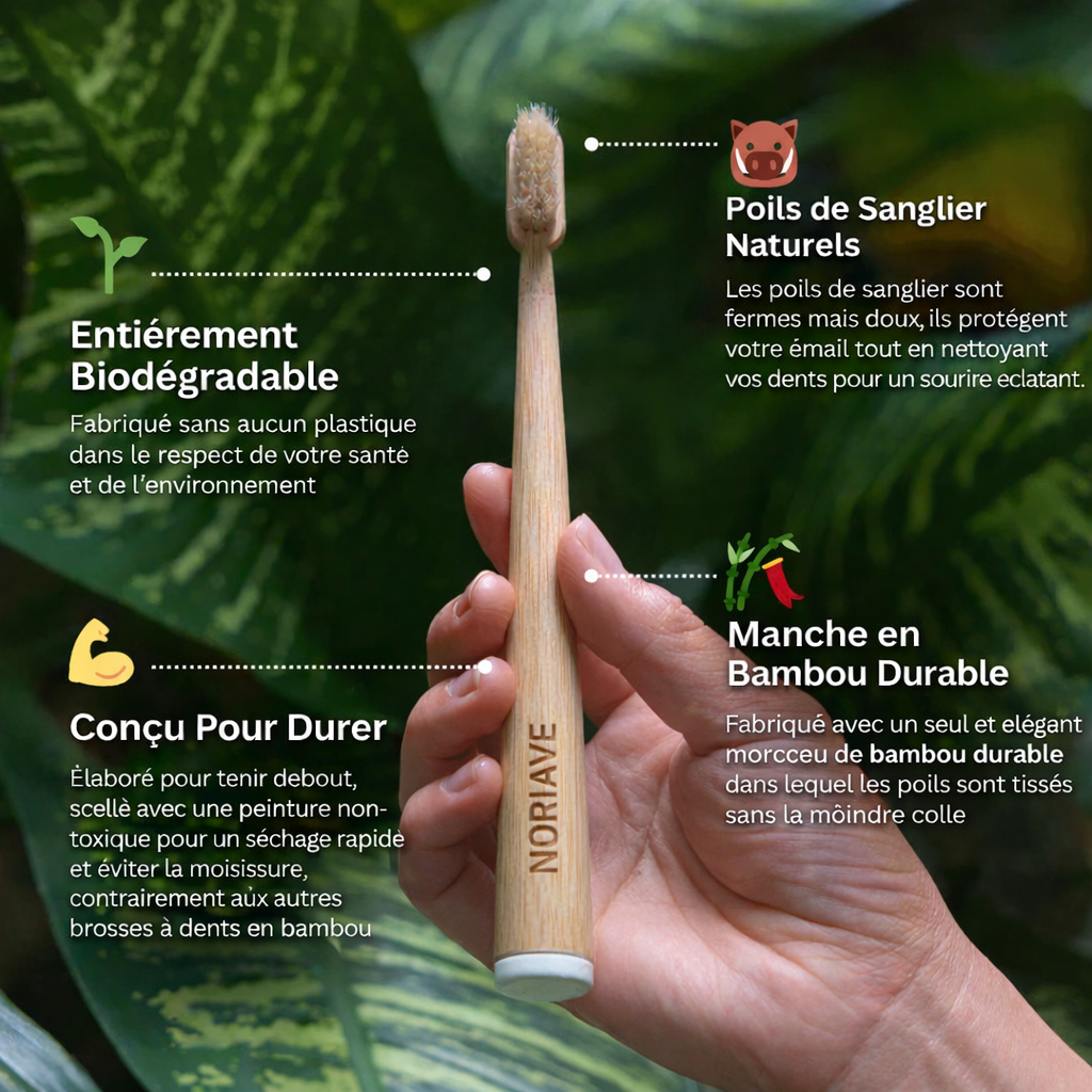 Brosse à Dents Bambou & Fibres Naturelles