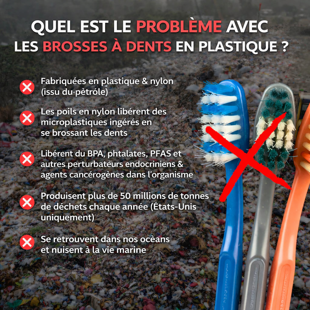 Brosse à Dents Bambou & Fibres Naturelles