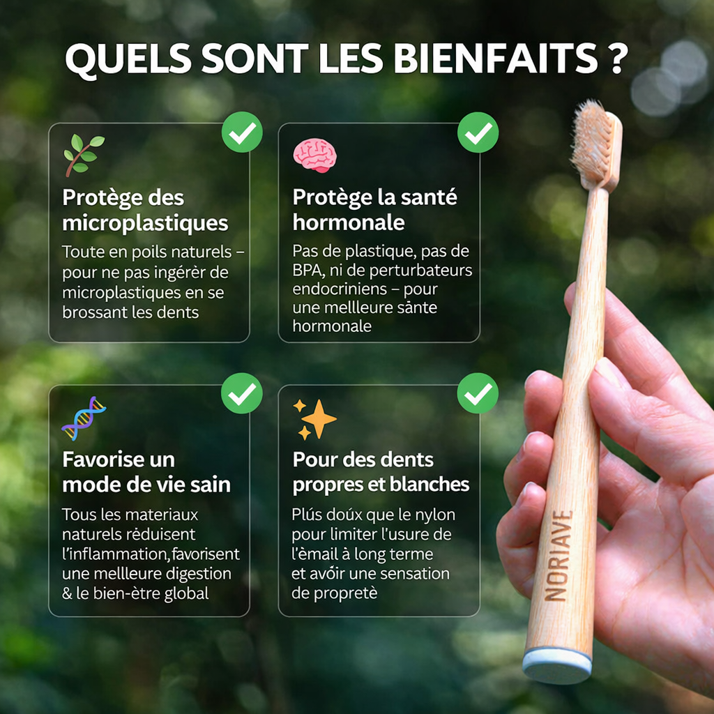 Brosse à Dents Bambou & Fibres Naturelles